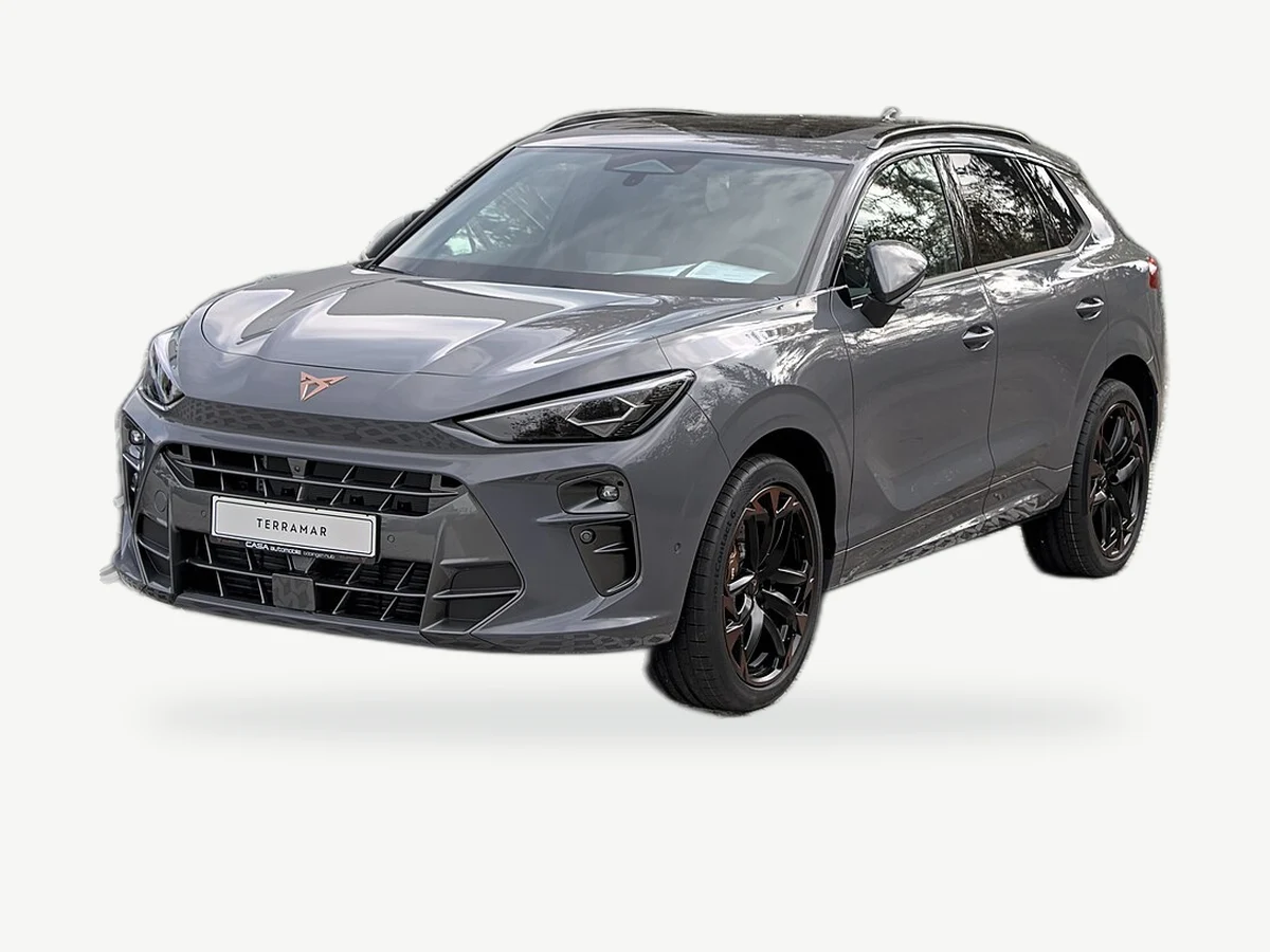 Representative Cupra Terramar model range vehicle; trim and year may vary