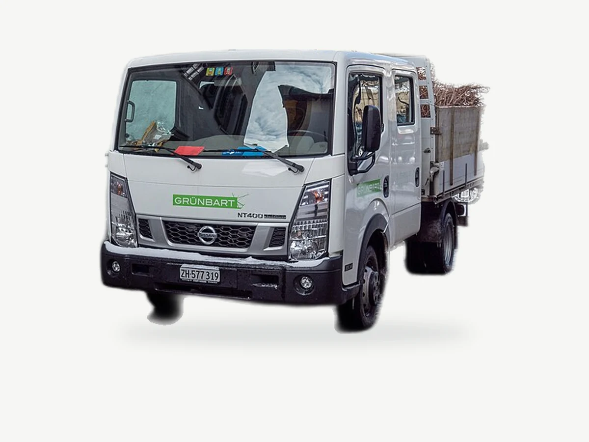 Representative Nissan NT400 Cabstar model range vehicle; trim and year may vary